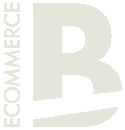 Ecommerce Bridge